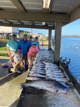 Blue Catfish, Redfish, Smallmouth Bass Fishing in Venice, Louisiana