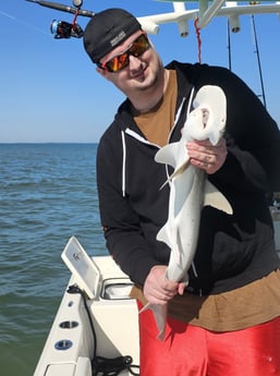 Bonnethead Shark Fishing in Mount Pleasant, South Carolina