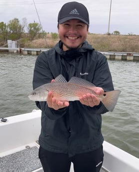 Redfish Fishing in Galveston, Texas