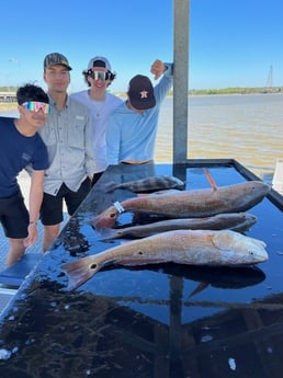Redfish, Sheepshead Fishing in Galveston, Texas