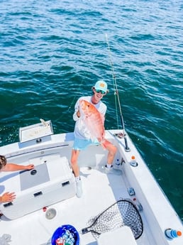 Red Snapper fishing in Biloxi, Mississippi