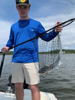 Hardhead Catfish Fishing in Gulf Shores, Alabama