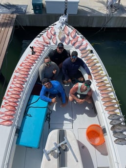 Amberjack, Red Grouper, Red Snapper, Yellowtail Snapper Fishing in Clearwater, Florida