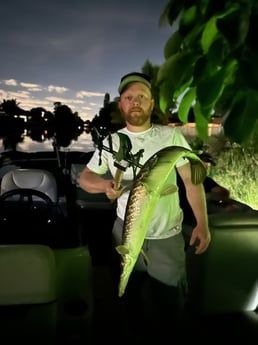 Alligator Gar Fishing in Fort Lauderdale, Florida