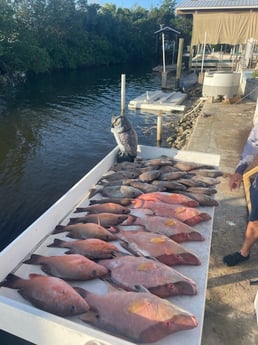 Fishing in Ruskin, Florida