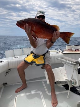 Cubera Snapper Fishing in West Palm Beach, Florida