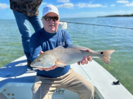 Redfish Fishing in Big Pine Key, Florida