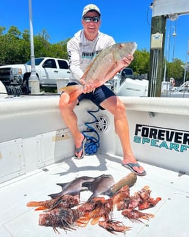 Lionfish, Mangrove Snapper, Triggerfish Fishing in Islamorada, Florida