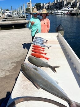 Amberjack, Red Snapper fishing in Fort Lauderdale, Florida