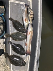 Black Drum, Flounder, Redfish Fishing in Johns Island, South Carolina