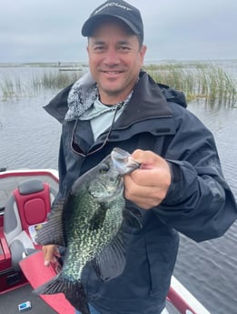 Crappie Fishing in Okeechobee, Florida, USA