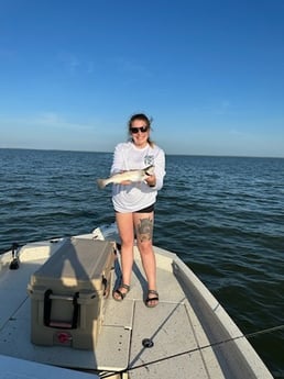 Speckled Trout Fishing in Freeport, Texas