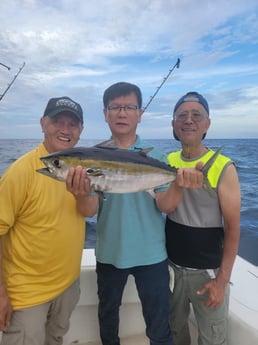 Blackfin Tuna Fishing in Pompano Beach, Florida
