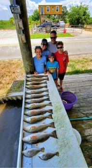 Grunt, Redfish fishing in Saint Bernard, Louisiana