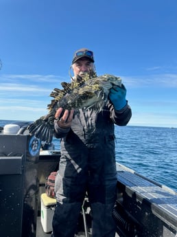 Lingcod Fishing in