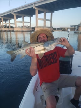 Snook fishing in New Smyrna Beach, Florida