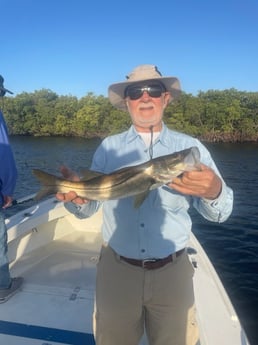 Snook Fishing in Tampa, Florida