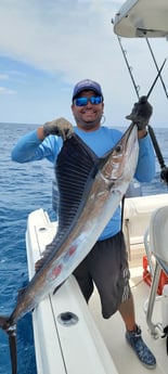 Little Tunny / False Albacore fishing in Hillsboro Beach, Florida