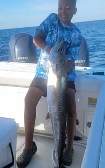King Mackerel / Kingfish Fishing in Panama City, Florida