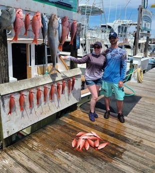 Amberjack, False Albacore, Red Snapper, Triggerfish, Vermillion Snapper Fishing in Destin, Florida