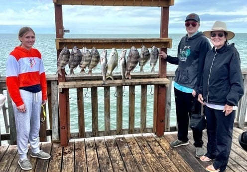 Florida Pompano, Sheepshead, Speckled Trout Fishing in South Padre Island, Texas
