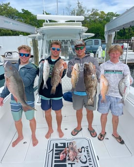 Gag Grouper, Mangrove Snapper, Mutton Snapper, Scup Fishing in Islamorada, Florida