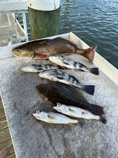 Black Drum, Flounder, Redfish, Speckled Trout Fishing in Biloxi, Mississippi