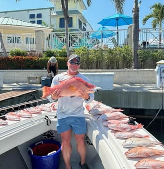 Hogfish, Red Snapper Fishing in Clearwater, Florida