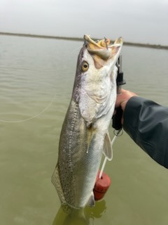 Fishing in Matagorda, Texas