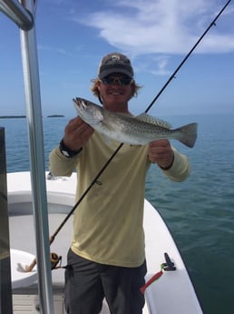 Speckled Trout Fishing in Key West, Florida