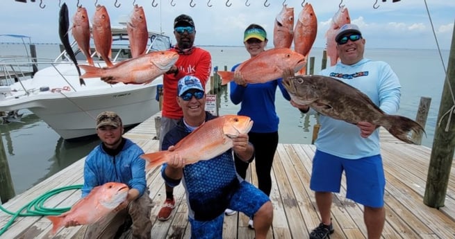 Broomtail Grouper, Red Snapper fishing in South Padre Island, Texas