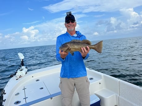 Gag Grouper Fishing in Crystal River, Florida