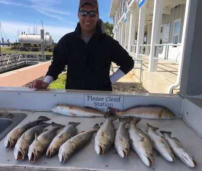 Redfish, Speckled Trout Fishing in Galveston, Texas