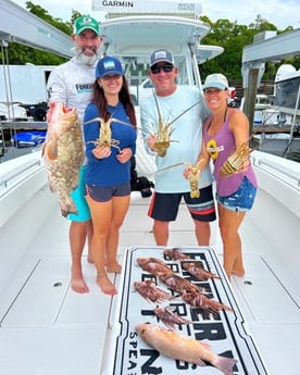 Lionfish, Lobster, Mangrove Snapper, Red Grouper Fishing in Islamorada, Florida