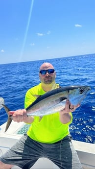 Blackfin Tuna Fishing in Key Largo, Florida