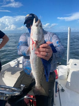 Speckled Trout / Spotted Seatrout fishing in Grand Isle, Louisiana