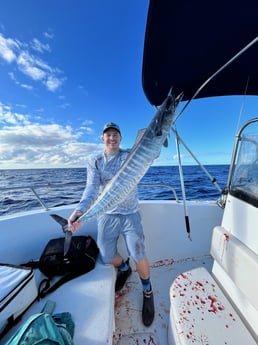 Wahoo Fishing in Miami, Florida