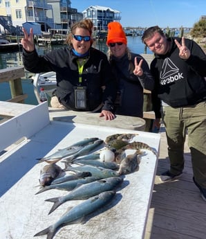 Bluefish, Scup Fishing in Beaufort, North Carolina