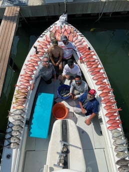 Lane Snapper, Red Snapper, Scup, Triggerfish, Yellowtail Snapper Fishing in Clearwater, Florida