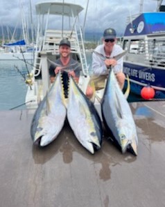 Yellowfin Tuna fishing in Kalaoa, Hawaii