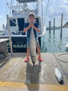 False Albacore, Kingfish Fishing in Miami, Florida