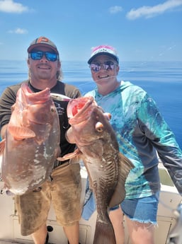 Red Grouper Fishing in Clearwater, Florida
