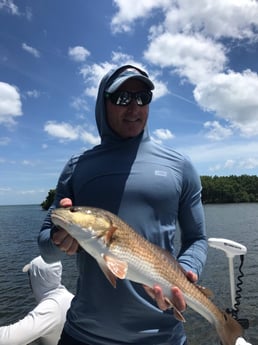 Redfish Fishing in St. Petersburg, Florida
