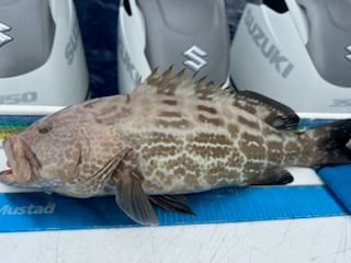 Fishing in Madeira Beach, Florida