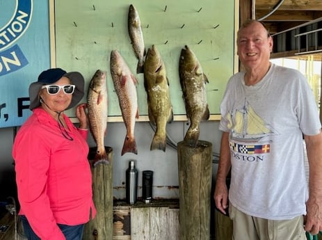 Gag Grouper, Redfish, Speckled Trout / Spotted Seatrout Fishing in Crystal River, Florida