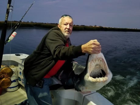 Thresher Shark Fishing in Freeport, New York, USA