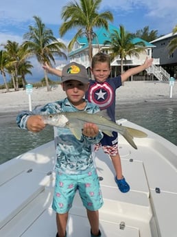 Snook fishing in Placida, Florida