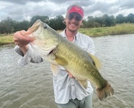 Largemouth Bass fishing in Graford, Texas