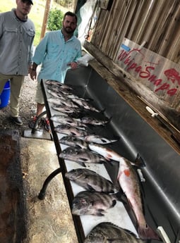Redfish, Sheepshead Fishing in Biloxi, Mississippi, USA