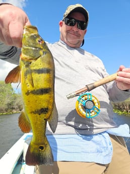 Fishing in Pembroke Pines, Florida